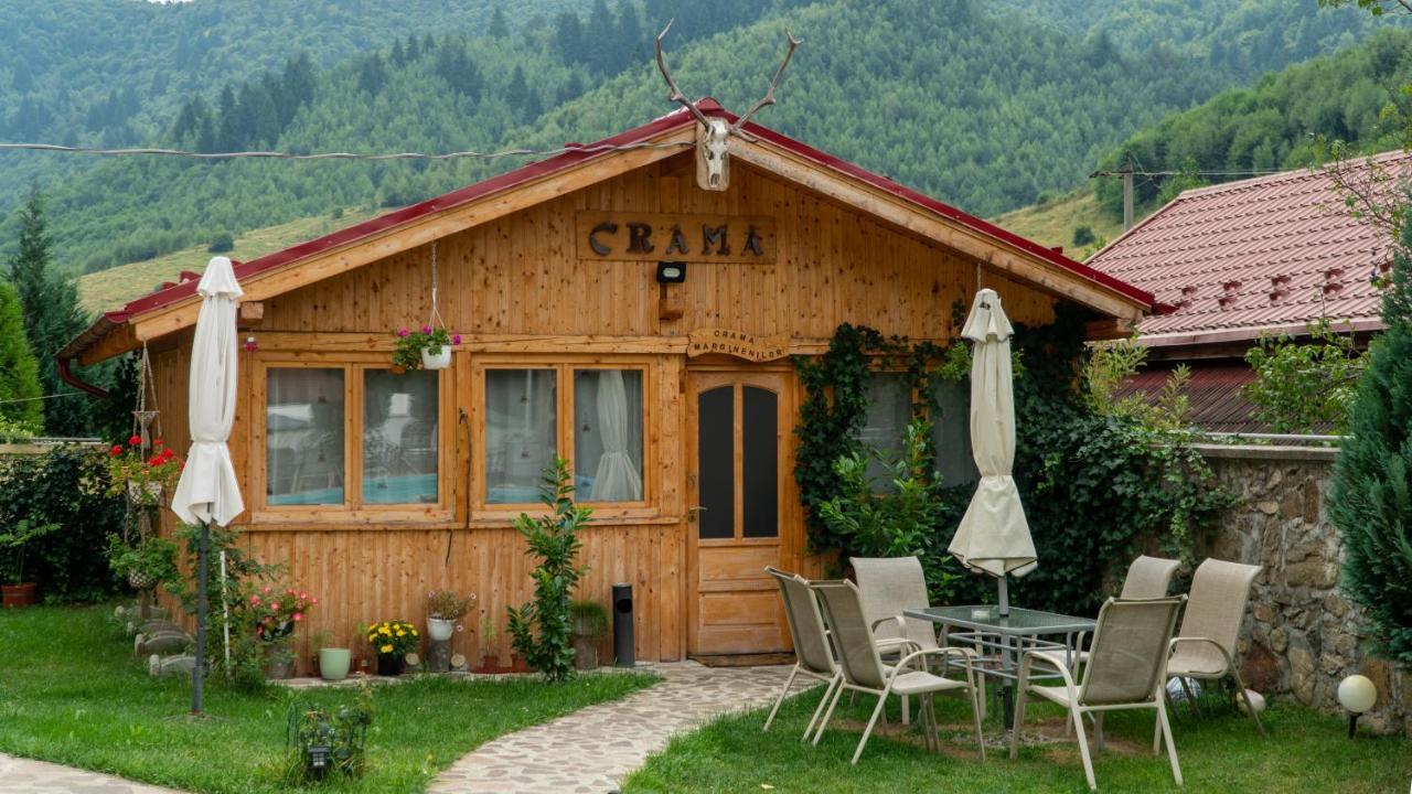 Pensiunea Alpin Пэлтиниш Экстерьер фото