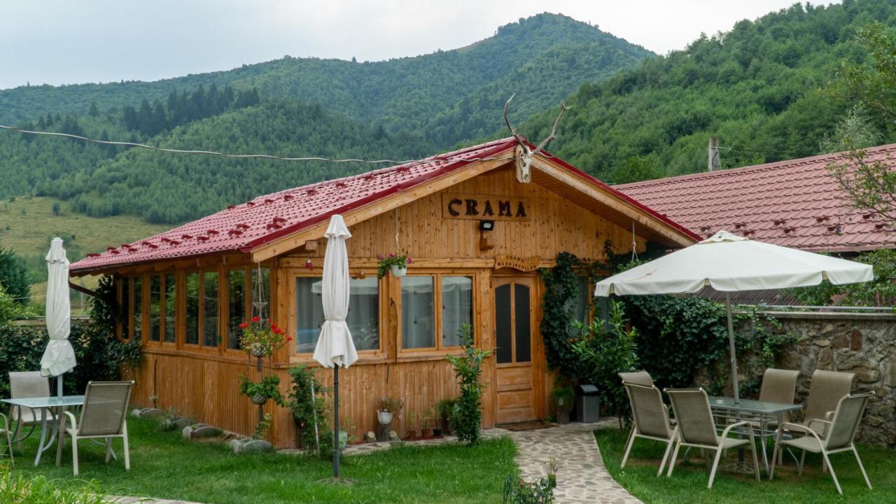 Pensiunea Alpin Пэлтиниш Экстерьер фото