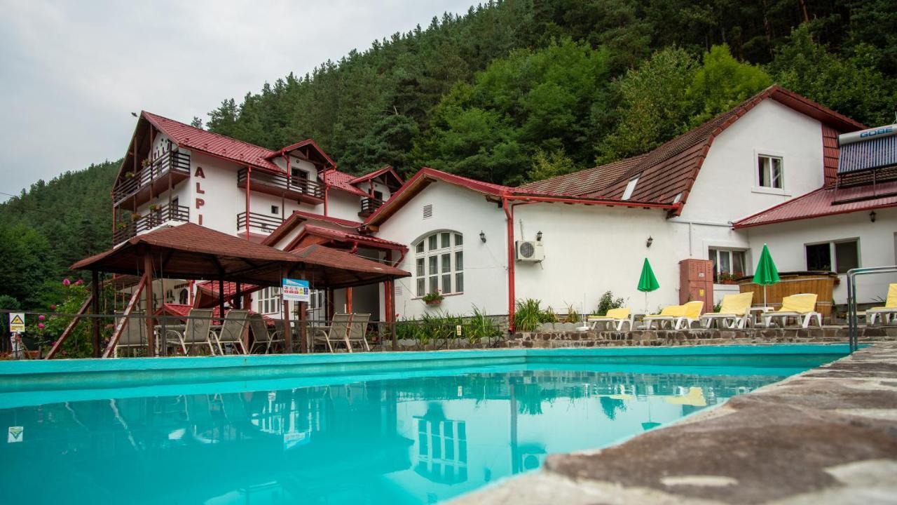 Pensiunea Alpin Пэлтиниш Экстерьер фото