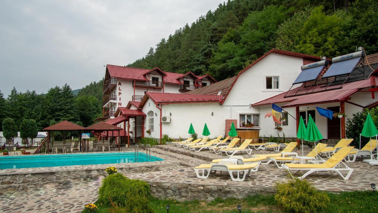 Pensiunea Alpin Пэлтиниш Экстерьер фото