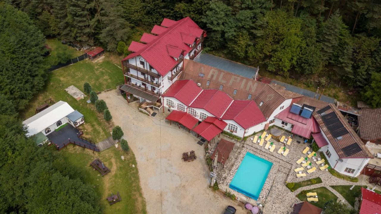 Pensiunea Alpin Пэлтиниш Экстерьер фото